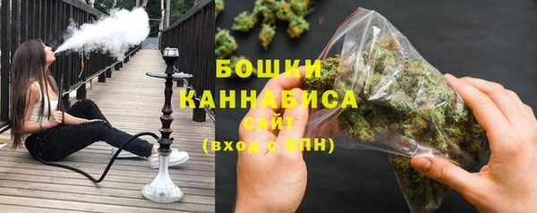 молекула духа Белокуриха