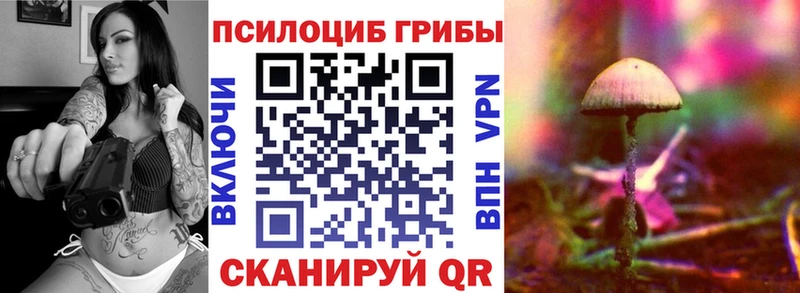 Галлюциногенные грибы Magic Shrooms  Богородицк 